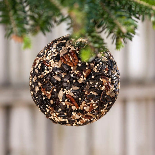 Seed & Nut Ball Birdseed Gift Set