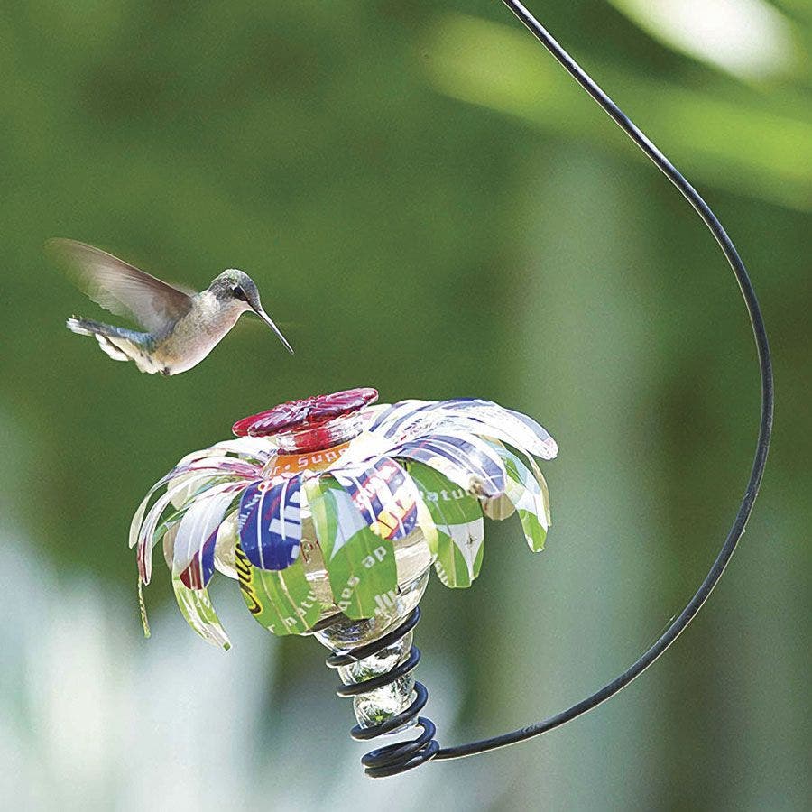 Where is the Best Place to Hang a Hummingbird Feeder: Ultimate Guide