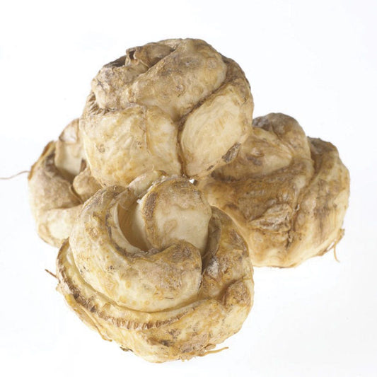 Fritillaria Blend Crown Imperial Bulbs