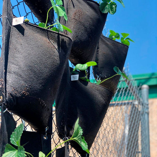 Smart Pot® Wall Flower Hanging Planter 3-Gallon Fabric Planter (Black)