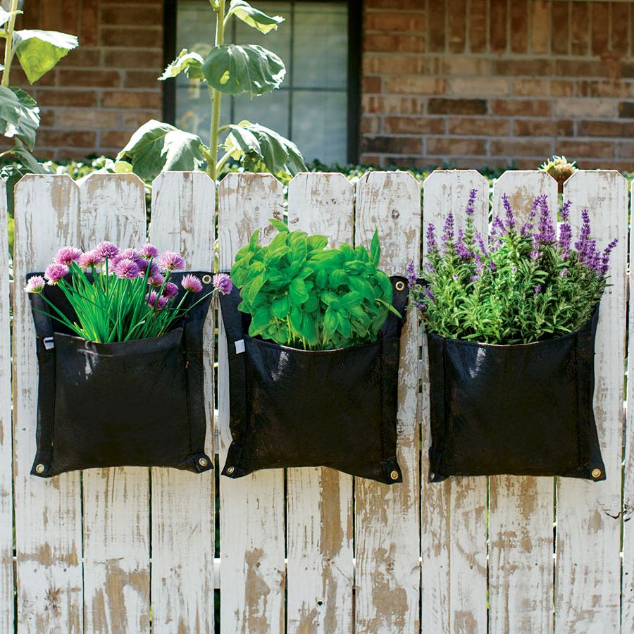 Smart Pot® Wall Flower Hanging Planter 3-Gallon Fabric Planter (Black)