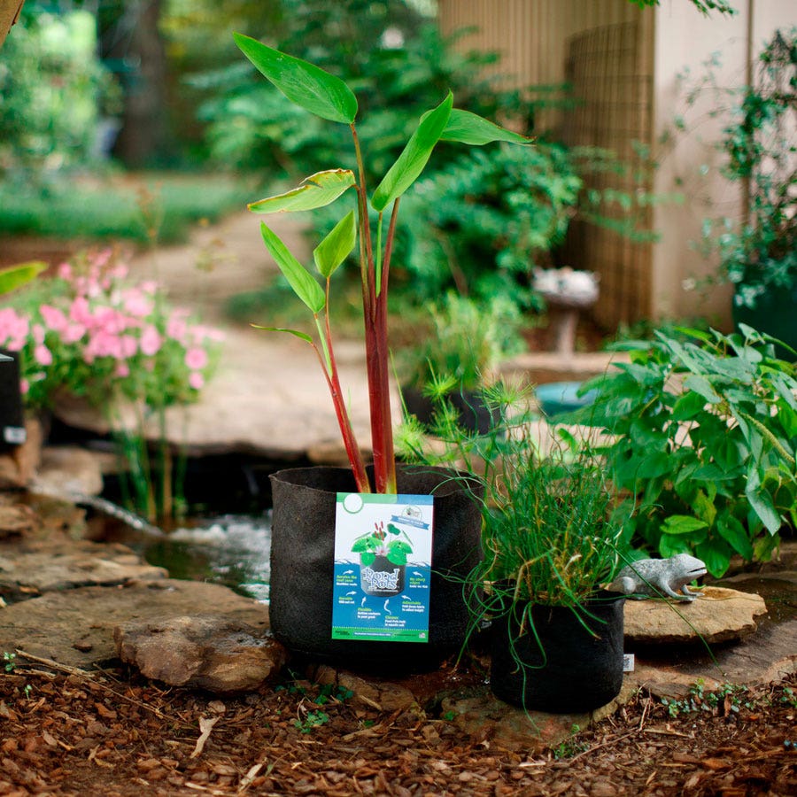 Smart Pot® Pond Pot 1-Gallon Fabric Planter (Black)