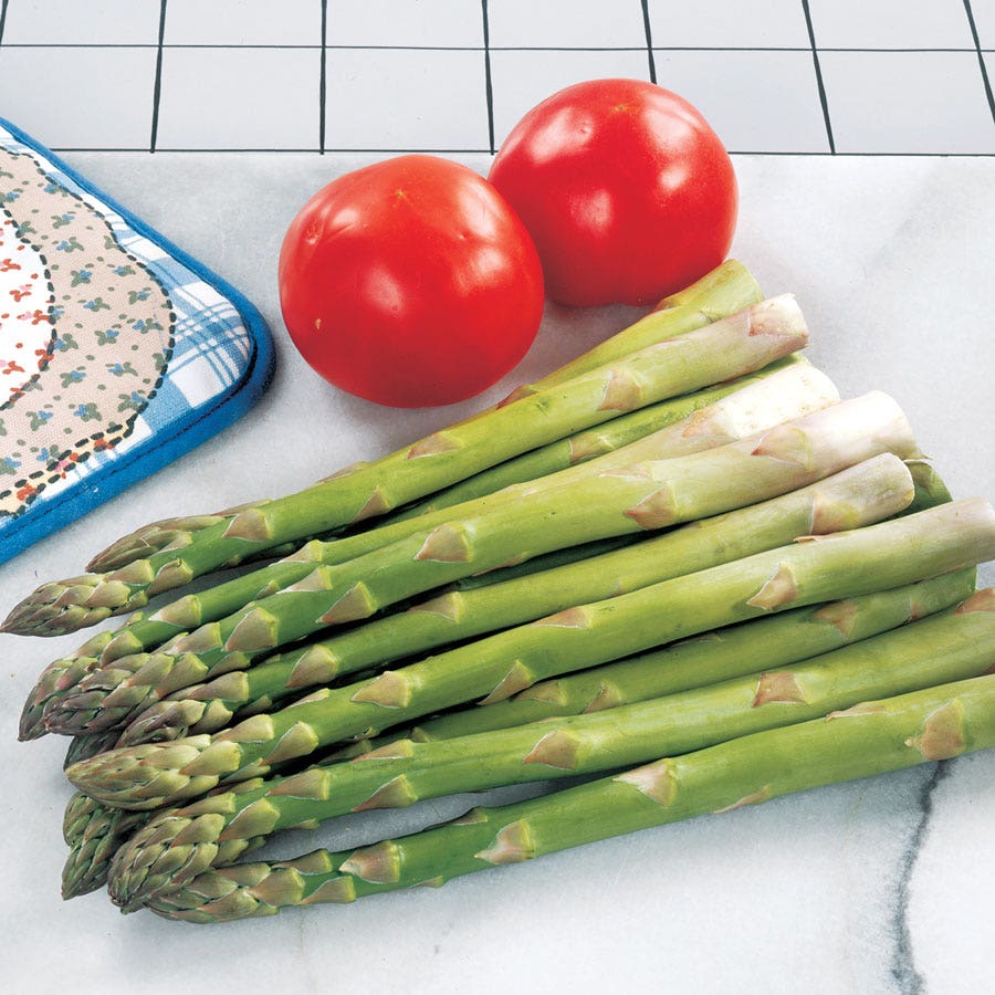 Asparagus Jersey Supreme Hybrid