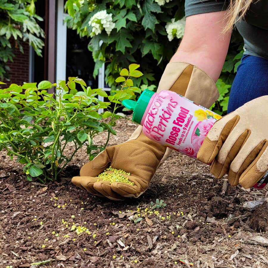 Jackson & Perkins® Dynamite™ Select Rose Fertilizer