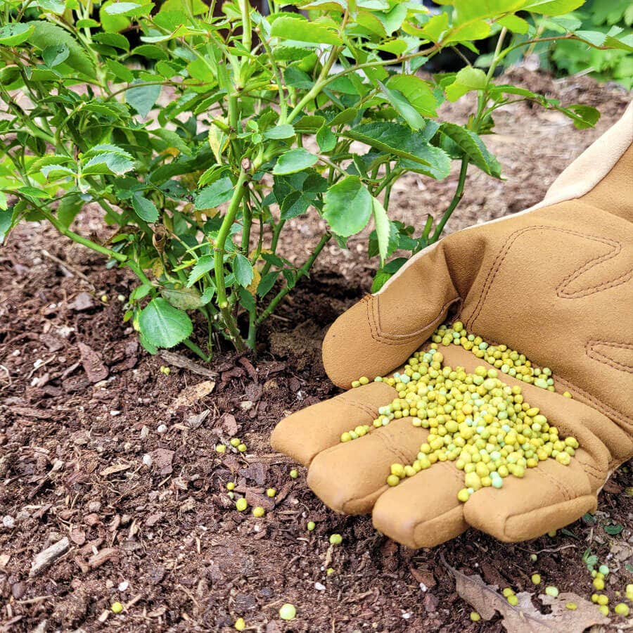 Jackson & Perkins® Dynamite™ Select Rose Fertilizer