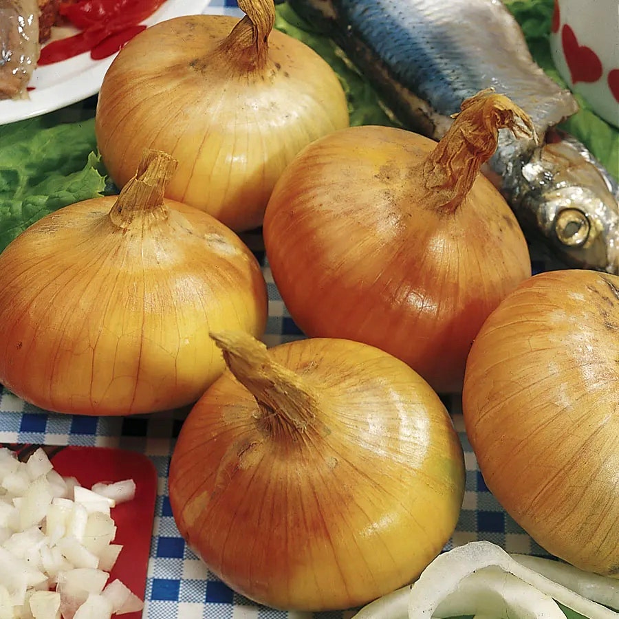 Walla Walla Sweet Onion Sets