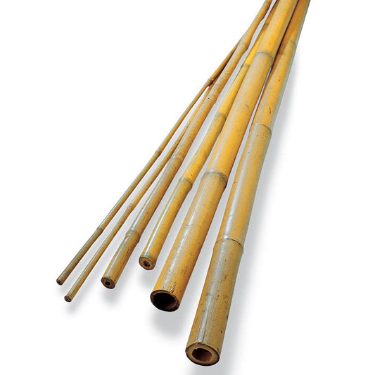 Bamboo Plant Stakes - Set of 12
