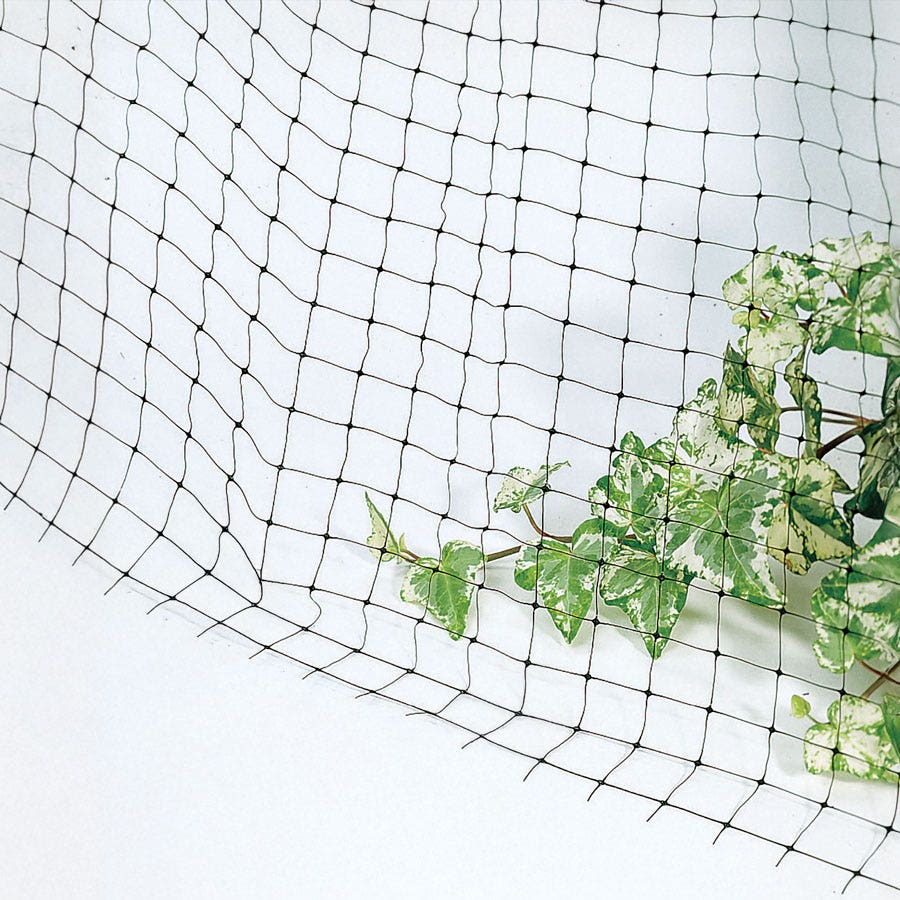 Anti-Bird Net