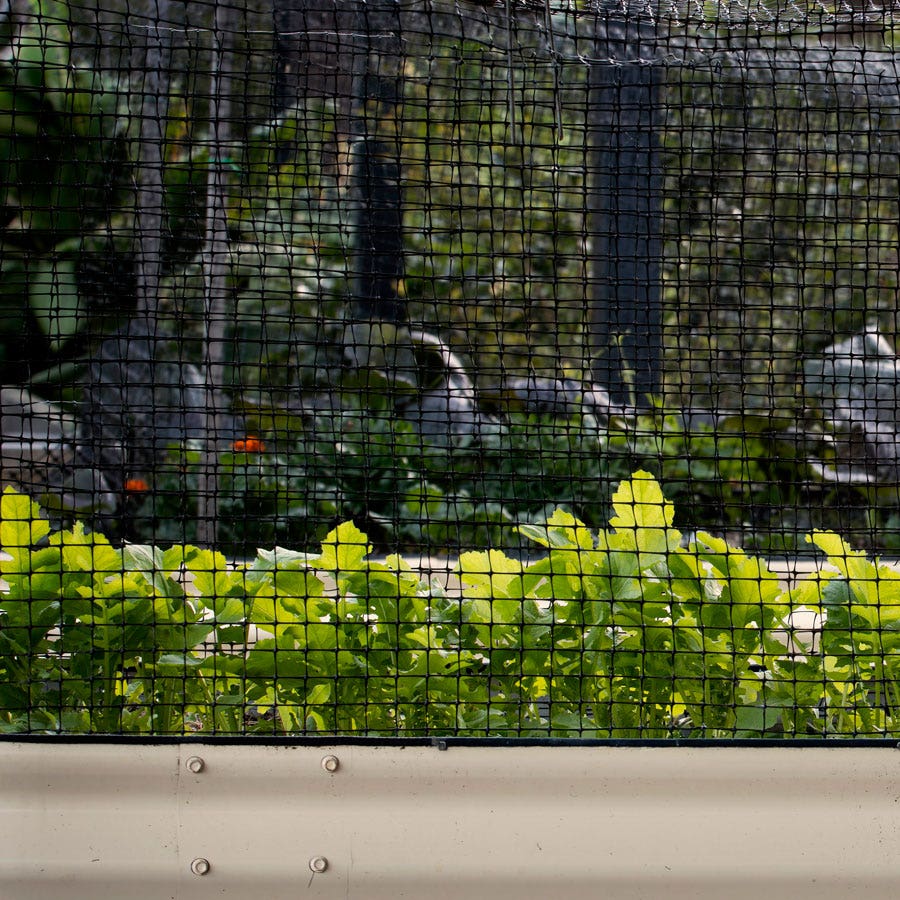 Anti-Bird Net