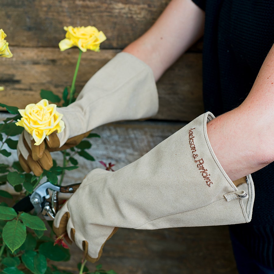 gardening gloves roses Jackson & Perkins Rose Gloves