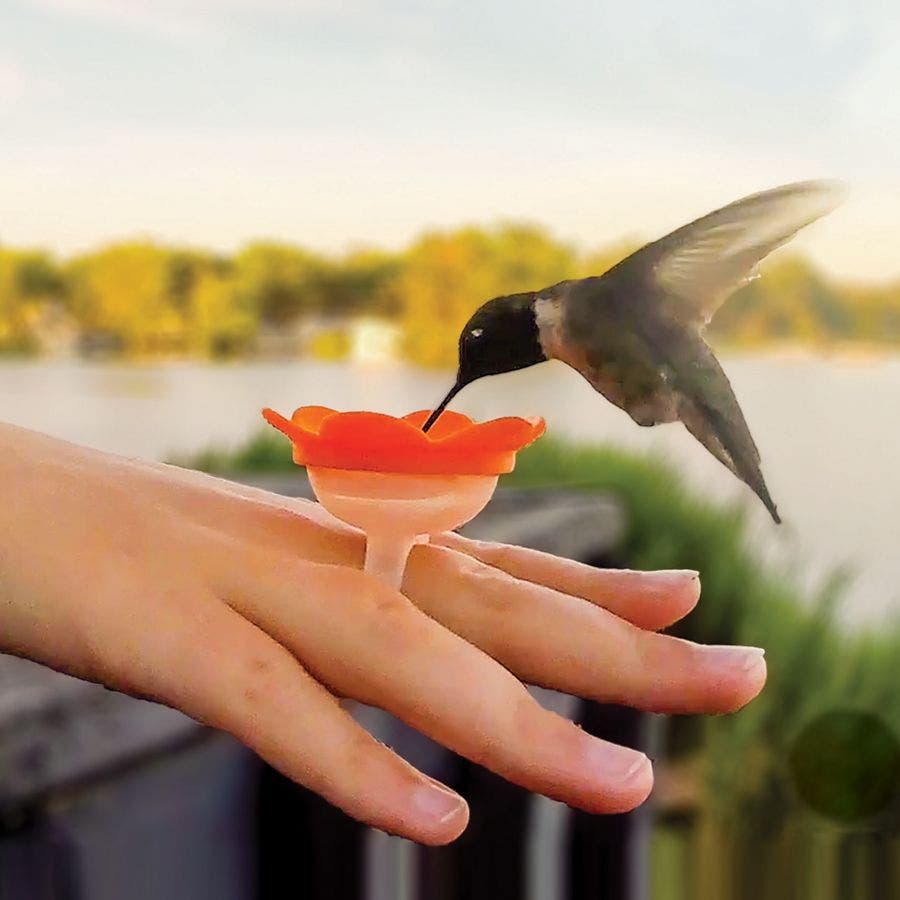 Hummingbird Ring Feeder