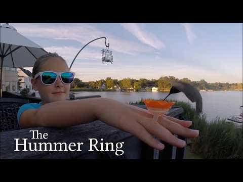 Hummingbird Ring Feeder