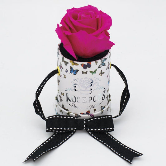 Rosepops™ Butterfly One Up Raspberry Punch Preserved Rose