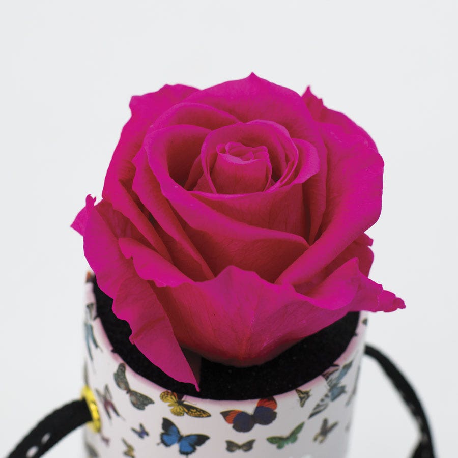 Rosepops™ Butterfly One Up Raspberry Punch Preserved Rose