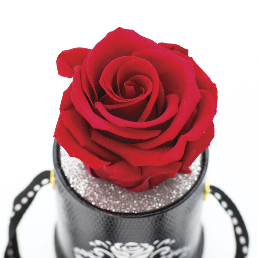 Rosepops™ One Up Cherry Crush Preserved Rose