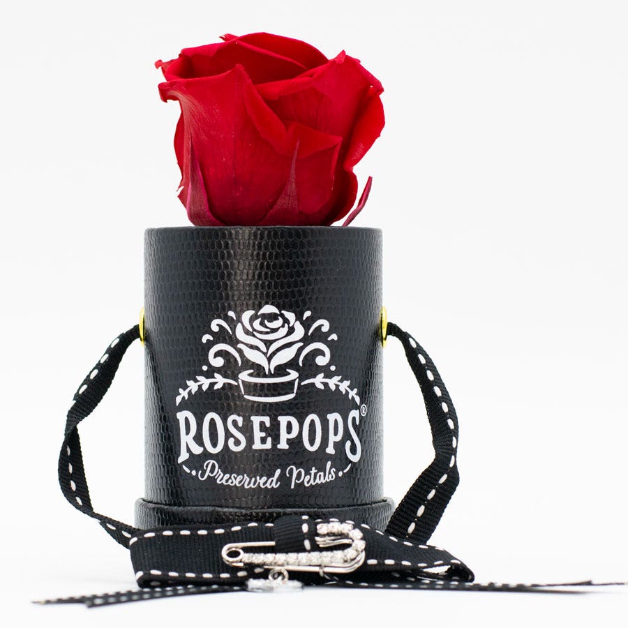 Rosepops™ One Up Cherry Crush Preserved Rose