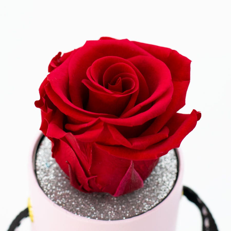 Rosepops™ One Up Cherry Crush Preserved Rose
