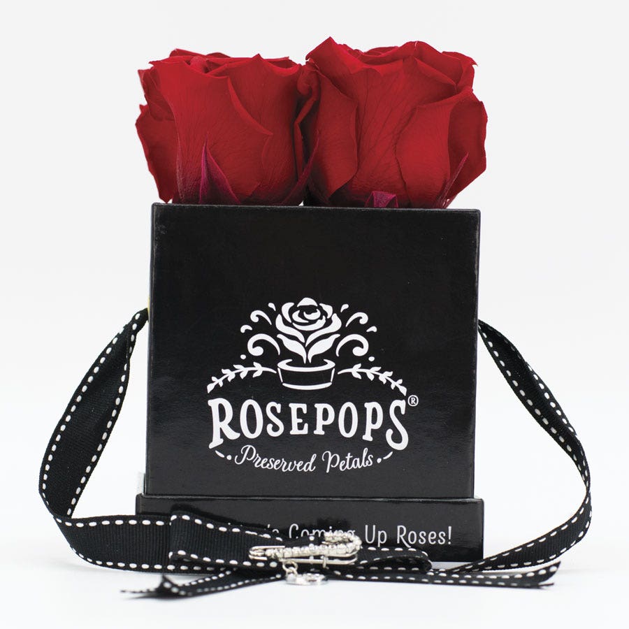 Rosepops™ Fourget Me Not Cherry Crush Preserved Roses