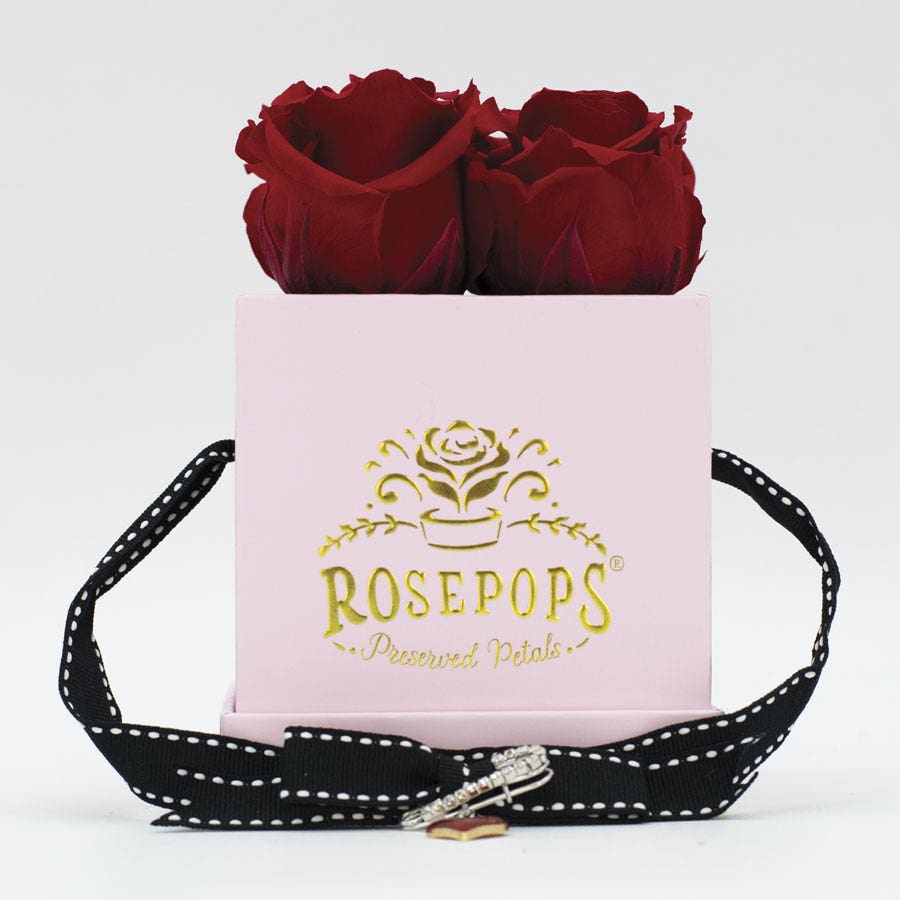 Rosepops™ Fourget Me Not Cherry Crush Preserved Roses