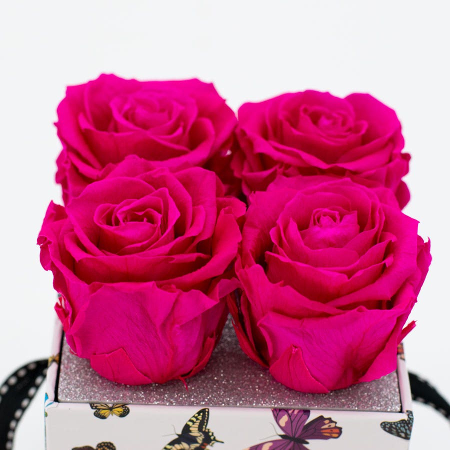 Rosepops™ Fourget Me Not Raspberry Punch Preserved Roses