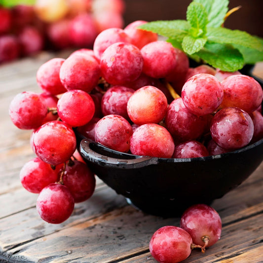 Vitis Catawba Red Grape