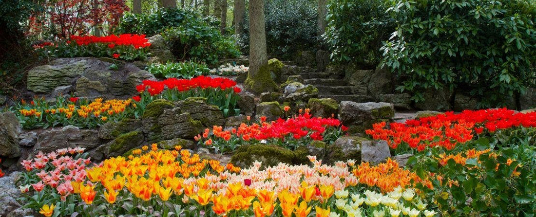 Bulb Care Instructions and Planting Depth Chart