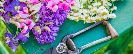 Garden to Vase: Cut Flower Growing Tips