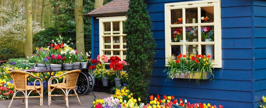 Vernalization: Why We Still Need Winter