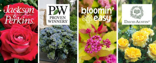 To Offer You the Best, We’ve Built a House of Brands