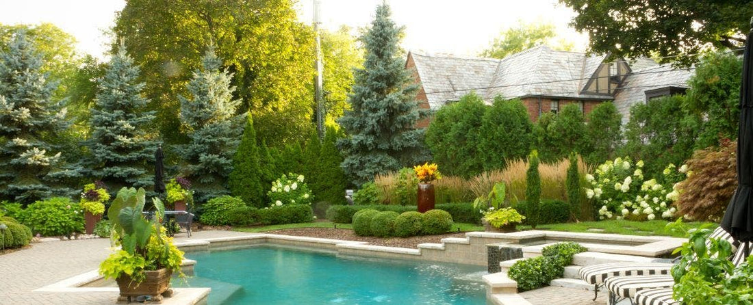 Luxury Landscaping: Plants That Make Your Home Look More Expensive