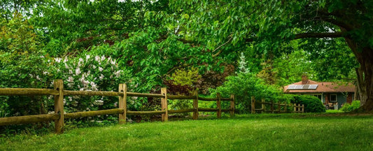 Natural Garden Privacy: Three Beautiful Ways to Reduce, Reuse, and Retreat