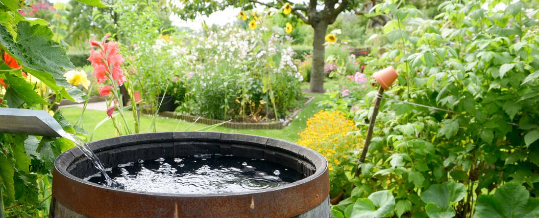 How to Handle Excessive Rain in the Garden