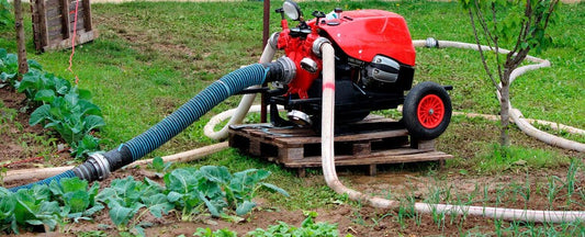 How to Handle Excessive Rain in the Garden