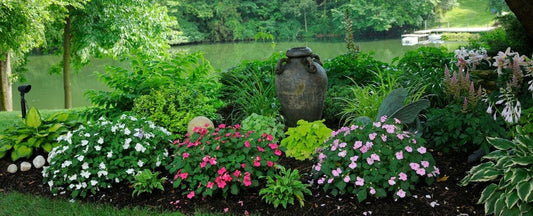Grow a Shade Garden: 5 Plant Recommendations and 2 Styling Tips