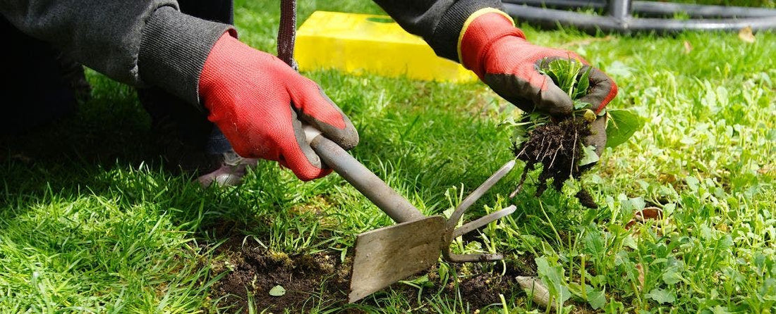 Garden Prep Checklist: Things to Do in Spring