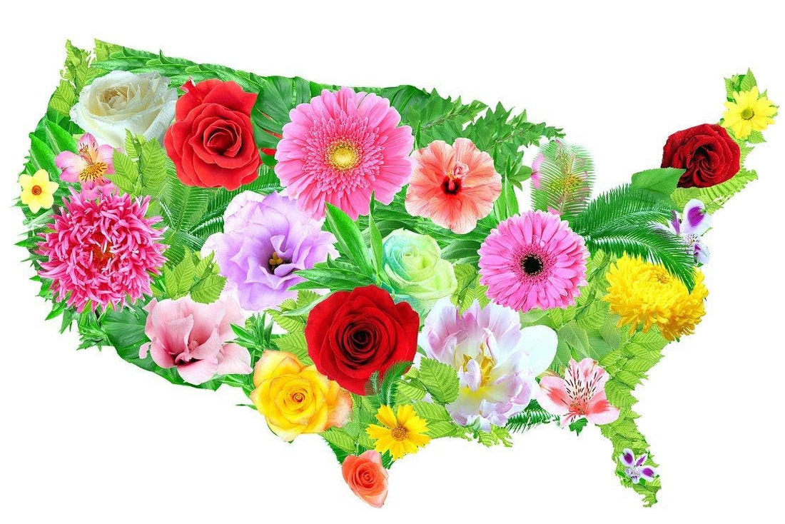 All About Plant Selection and Hardiness Zones