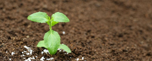 Fertilizer Facts and Tips