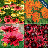 Pre‑Planned Garden Kits