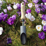 Bulb Supplies