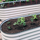 Container Gardens