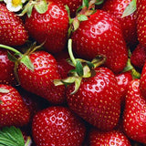 Fruit Must-Haves
