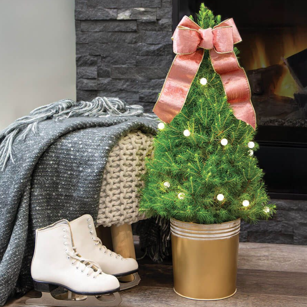 Pink Shimmer Potted Christmas Tree