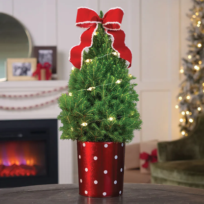 Secret Santa Potted Christmas Tree