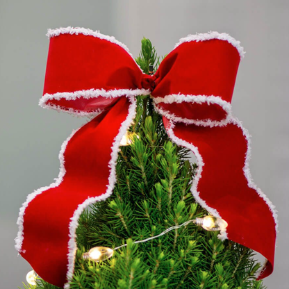 Secret Santa Potted Christmas Tree