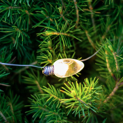 Secret Santa Potted Christmas Tree