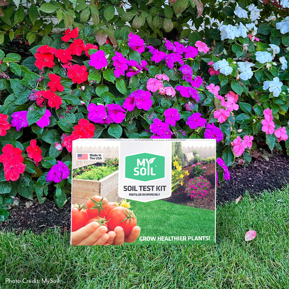 MySoil® Soil Test Kit – Wayside Gardens