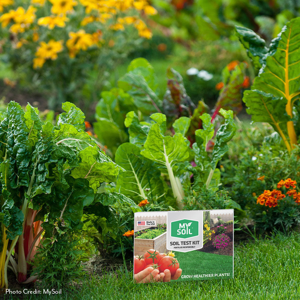MySoil® Soil Test Kit – Wayside Gardens