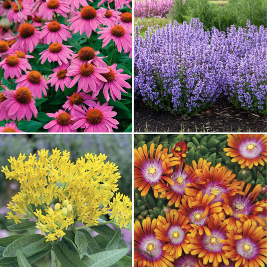 Pollinator Habitat Pre-Planned Garden Kit - Full Sun