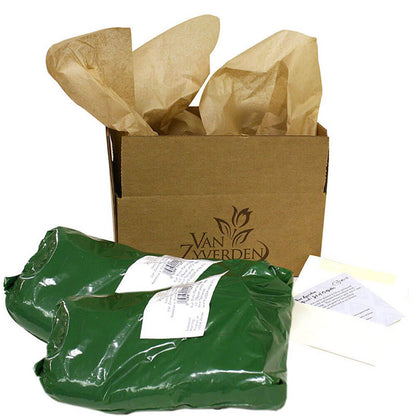 Paeonia Mixed Varieties Peony