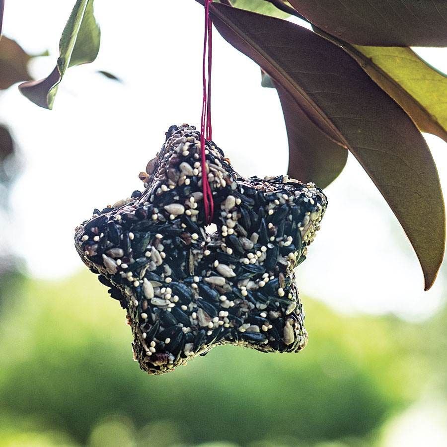 Little Star Birdseed Treat